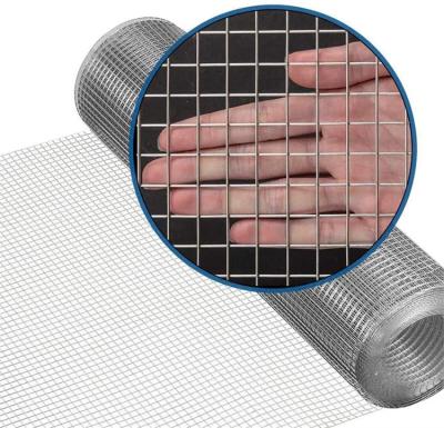 China Corrosion Resistance Stainless Steel Welded Wire Mesh 1/4 Inch Hardware Fabric Square Mesh Metallique Stainless Steel for sale