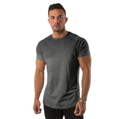 China QUICK DRY Stylish Sporty Slim Fit Cotton KD Various Colors Polyester Short Sleeve T-Shirts For Men Gym Fit And Sew T Shirt for sale