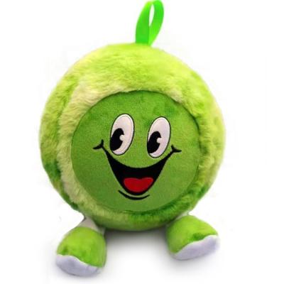 China Children Inflatable Fuzzy Ball With Pvcand Polyester Material FB-H for sale