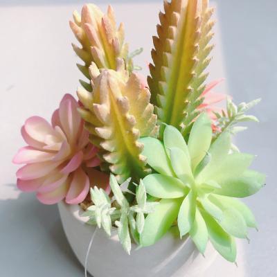 China Garden Decoration Novel Simulated Succulent Potted Plants Decoration for sale