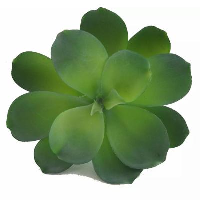 China Wholesale Mini Minimalist Hot Search Artificial Succulent For Decor Lowest Price for sale