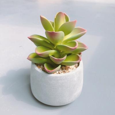 China Different Size UV ​​Resistance Optional Wholesale Set Of Fake Cactus Succulents Artificial Cacti Plants for sale