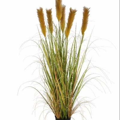 China Optional UV resistance Reed Artificial grass bonsai decoration, ditch reed, bulrush, kaho; Sister Princess; acorn corn bonsai for sale