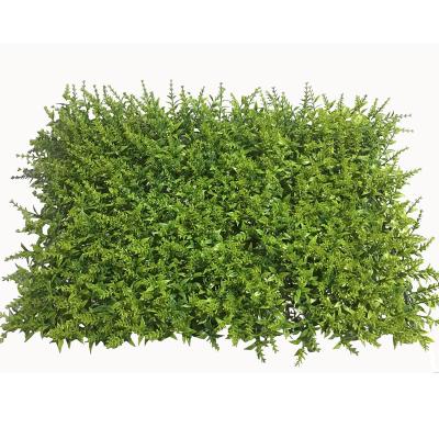 China Useful UV Resistance Design Boxwood Hedge / Anti UV Artificial Green Garden Grass Plastic Vertical Wall for sale