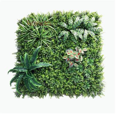 China Eco-Friendly Decoration Artificial Green Plants Wall Of Backdrop Outdoor Or Indoor Decoration for sale