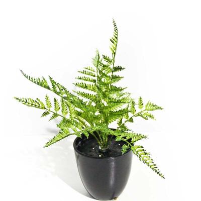 China UV resistance small artificial scindapsus forgraden decoration for sale