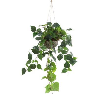 China Modern Artificial Ivy Leaf Other Home Decor Apricot Leaf Wall Hanging Home Accessories for sale