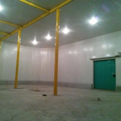 China Cood Room Cold Warehouse Container / Cold Room / Cold Storage For Meat Or Vegetables for sale