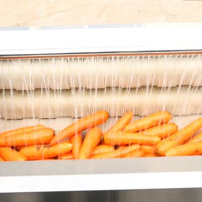 China Hotels 600mm Length Sweet Potato Vegetable Peeler Cleaning Washing Machine for sale