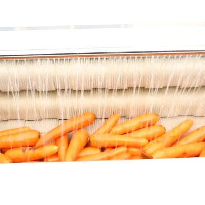 China Commercial Carrot Sweet Potato Brush Washing Machine High Capacity SUS201 Production Line for sale