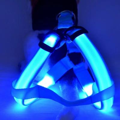 China Stocked Dog Lead Light Harness, Glow-in-the-Dark Pet Dog Harness, Popular Type Dog Vest Bright Dog Harness for sale