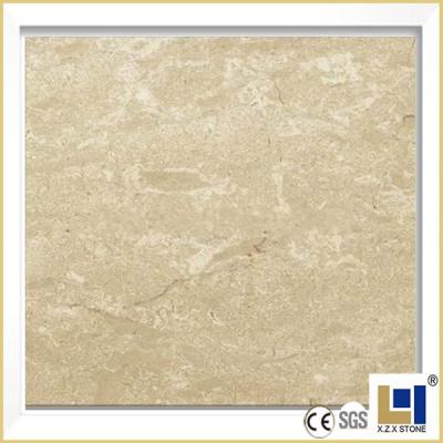 China Beige Color With Shell Fossils Turkey Toprak Beige Marble Floor And Wall Tile For Sale for sale