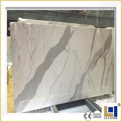 China Wall Cladding Natural Stone Calacatta Floor Tiles 60X60 White Marble Italian Marble Stone for sale