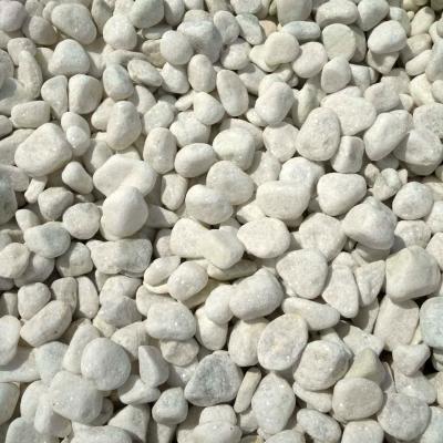 China Tons Sale Modern Polished Honed White Rice Pebbles for sale