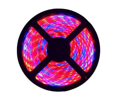 China Eco-friendly Smart 5050 Three Red, One Blue, Led RGB Strip Light Plant Growth Light Strip for sale