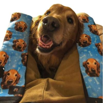 China Polyester / Cotton Customized Dog Socks Put Your Cute Dog On Custom Sock Dog Lovers for sale