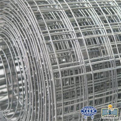 China Plain Weave Wholesale Welded Rabbit Cage Wire Mesh / 3/4 Inch Galvanized Welded Wire Mesh/Welded Wire Mesh roll for sale