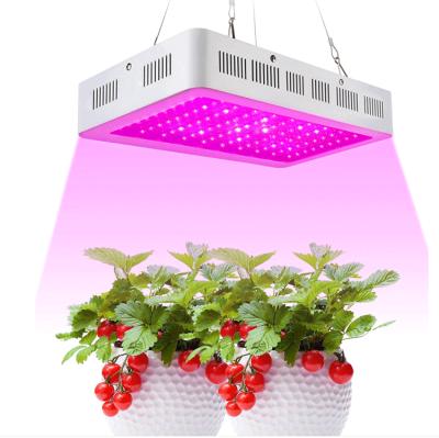 China Hydroponic Seed Starting Grow Light Led Growing Lighting For Growing Light Indoor Plant for sale