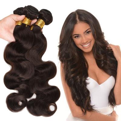 China Luster Remy Natural Brazilian Virgin Hair Bundles Brazilian Hair Water Wave Curly Hair Red Burgundy Colored Extension Bundle for sale