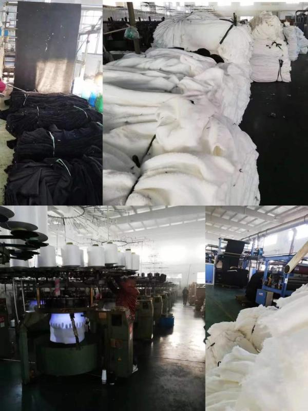 Verified China supplier - Ningbo Dingge Import And Export Trading Co., Ltd.