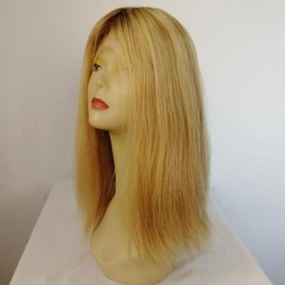 China Silky Straight Best Quality Brazilian Hair Lace Front Wig for sale