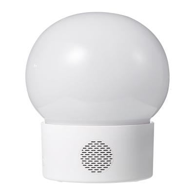 China High Quality And Cheap Sound Art Decoration Combine Price Modern Portable Led Night Light for sale