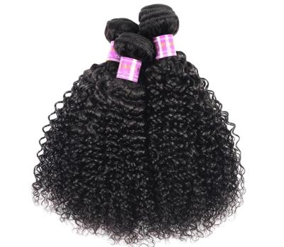 China Real Hair Wigs 100% Ladies 10A Curly Brazilian Virgin Hair Extension Curly Mink Cuticle Aligned Raw Kinky Curl Hair Wigs For Women for sale