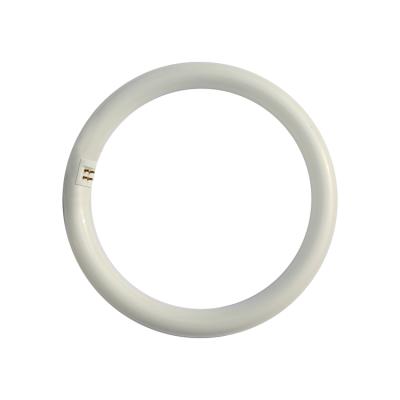 China Residential / Workshop / Industry SEE Design 15w / 20w / 32w Wholesale G10q T9 Led Circular Tube Light for sale