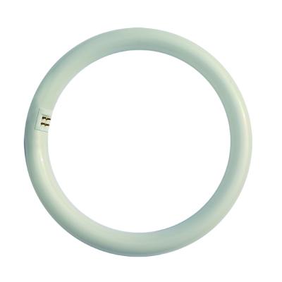 China Residential traditional replacement led circular fluorescent bulb g10q led circular tube light 15w 20w 32w t9 led circline 215mm 300mm 400mm for sale