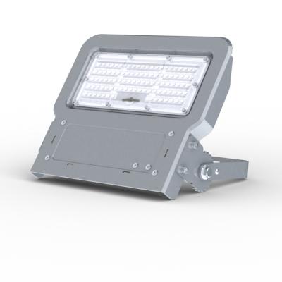 China High quality LANDSCAPE/Park/Garden IC isolation driver led flood light 50w 50watt ip65 led floodlight 50W for garden for sale