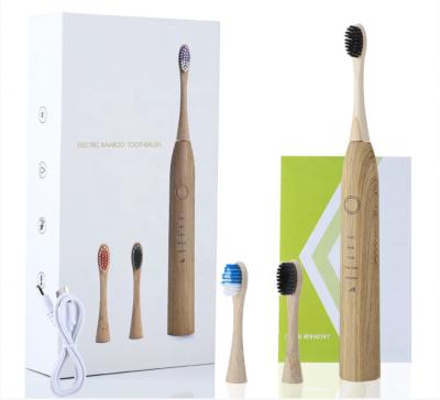 China New Technology Battery Powered Electric Bamboo Main Charging Factory Battery Toothbrush for sale