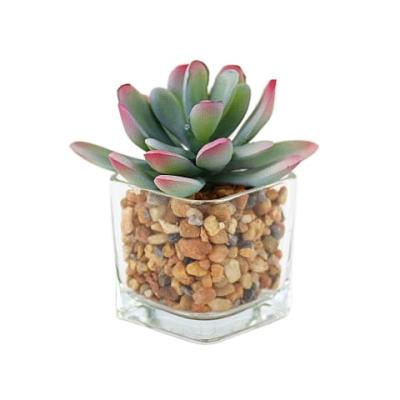 China Eco-friendly Materials Mixed Artificial Succulent Plan Potted Decoration Factory Manufactures Wholesale Artificial Plants For Home Garden Decoration for sale