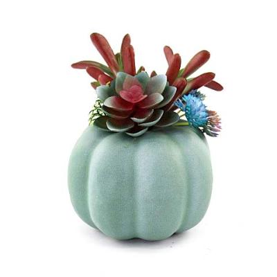 China Touch Natural Artificial Bonsai Plants Mini Succulent Plant With Pot Plastic Decoration For Artficial Plant Green Wholesale Moss Potted for sale