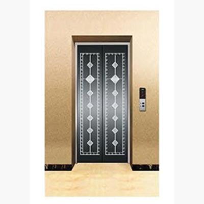 China High Quality Contemporary Safety Parts Panel Door Elevator Elevator Landing Door Parts for sale