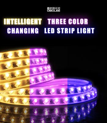 China Garden LED Strip Light Waterproof IP65 Intelligent Three Color Changing Smart Strip Lights for sale