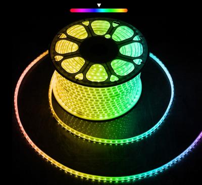 China High Quality Colorful Garden RGB LED Strip Light SMD 2835 Holiday 220V High Voltage Light for sale