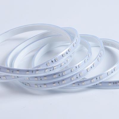 China Garden High Brightness RGB LED Strip Light Wireless High Voltage Waterproof 110V 220V RGB Strip Light for sale