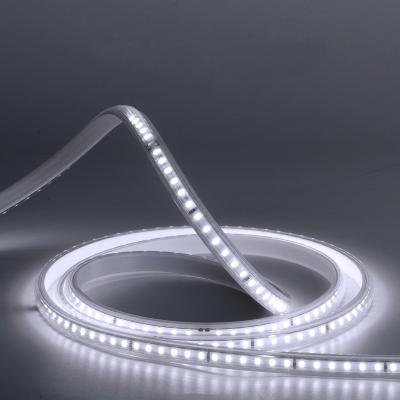 China High Voltage Cordless Garden 110V 220V LED Strip Light Factory Directly Supply Smart LED Strip Lights for sale