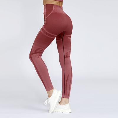 China Women Antibacterial Seamless Fitness Sports Gym Leggings High Waist Yoga Pants Gym Leggings Tummy Control for sale