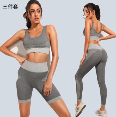 China Women 3pcs Long Short Sports Gaiters Sports Suit Yoga Workout Set Gym Wear Sportswear Antibacterial Seamless Bra High Waist for sale