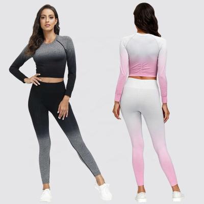 China Seamless Crop Gym Yoga Top Set Antibacterial Long Sleeve Running Shirts And Full Body Gym Fitness Tights Set Women for sale