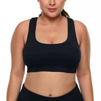 China Antibacterial Plus Size Apparel Women Sports Bras, Gym Apparel Slimming Bra Top, Plus Size Women's Sports Bra for sale