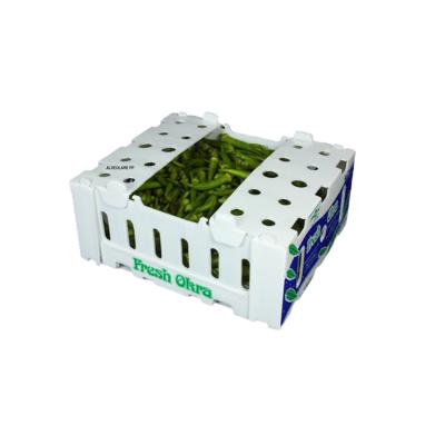 China Recyclable Manufacturers Customize PP Plastic Corrugated Hollow Panel Agriculture Packing Boxes for sale