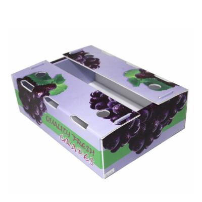 China Guangmei Recyclable Plastic Packing Box Fruit for sale