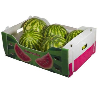 China 2020 best quality best sale fruit seafood tray vegetable box recyclable hot corrugated plastic storage package for sale