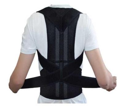 China Hot Selling DAVI 2021 Factory Direct Custom Logo Correction Support Belt Back Brace Back Support Lumbar Back Corsets for sale