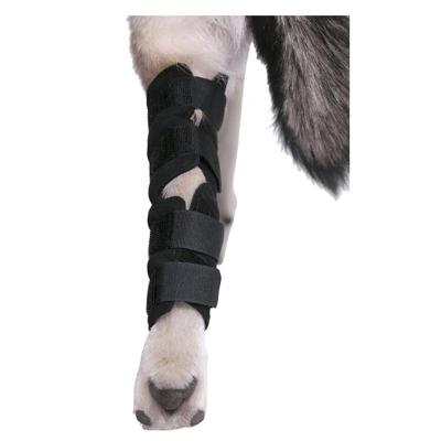 China 2021 Universal Hot Selling Breathable Injury Recover Dog Protector Knee Support Brace For Leg Hock Joint Wrap for sale