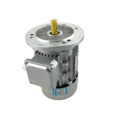 China Totally Enclosed Series YE2 Three Phase Asynchronous AC Electric Motor Cast Aluminum for sale