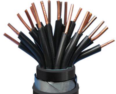 China PVC Insulated Multicore Control Cable Steel Wire WIth Flame Retardant Sheath for sale