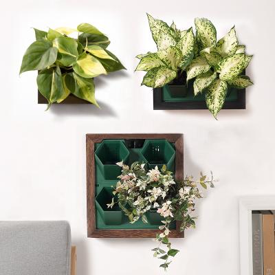 China Eco-friendly Wooden Home Decor Photo Frame Vertical Wall Planter For Wall Decoration Logo Decorative Customized Eco-friendly Plastic SOL Green for sale